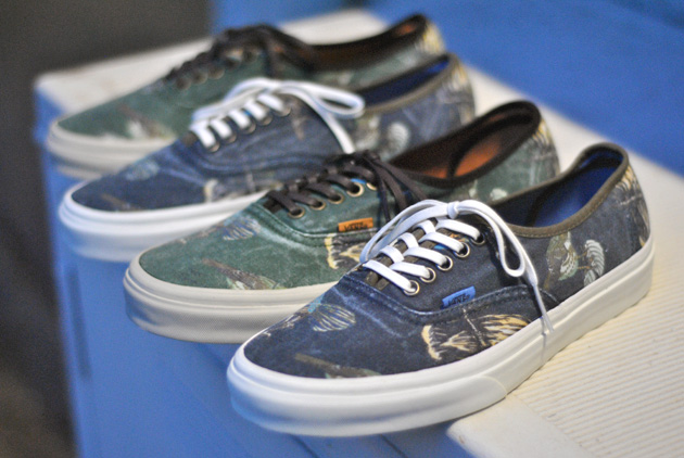 Vans authentic outlet bleu vert