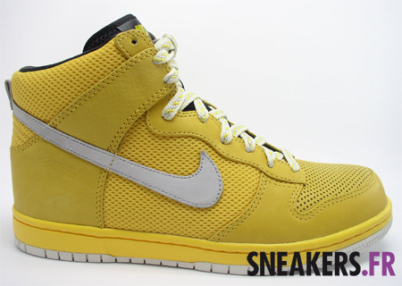 Nike Dunk Be True