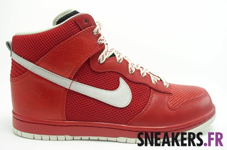 Nike Dunk Be True