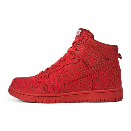 Nike Dunk Ultimate Glory