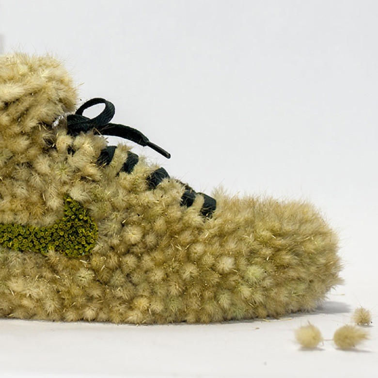 plantes sneakers