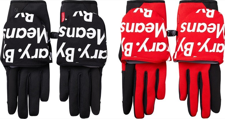 supreme the north face 2015-3